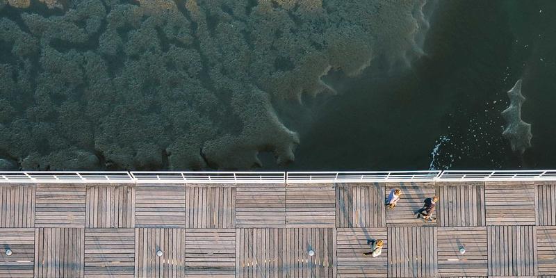 中国古玩58：青铜器鉴定入门与收藏要诀