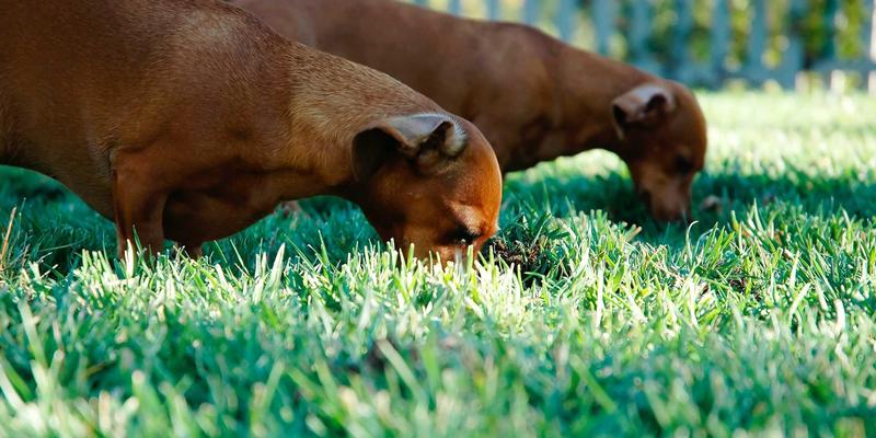 中国古玩69：书画收藏市场的千年风雅与当代脉搏