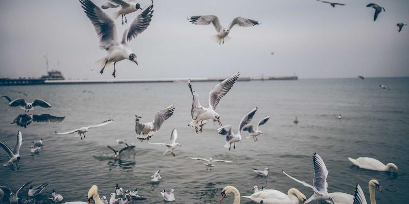 中国古玩收藏与交易指南：聚焦瓷器市场的核心实践