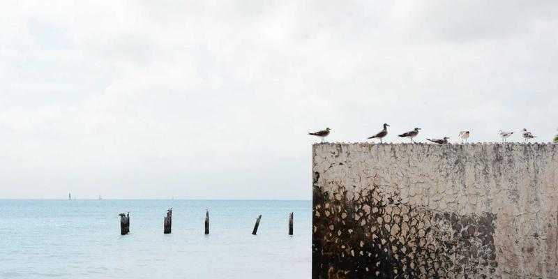 中国古玩鉴藏之道：玉器收藏市场的机遇与挑战