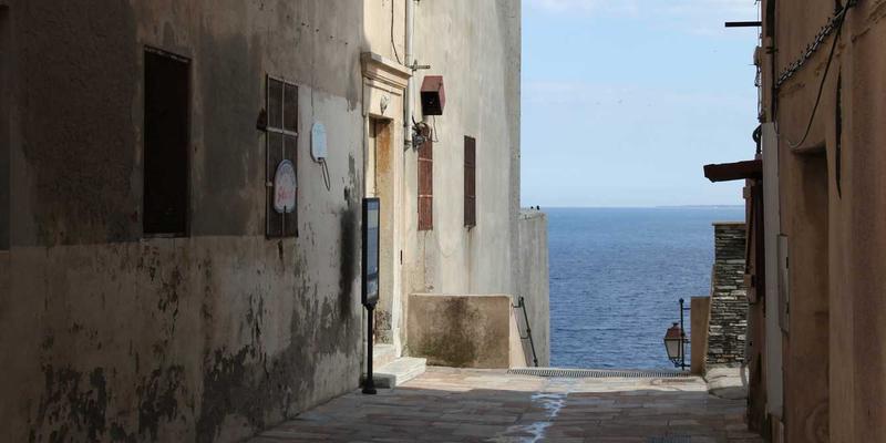 中国古玩鉴赏：青铜器与书画的鉴定要诀与文化密码