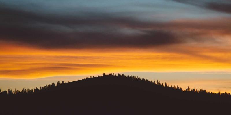 书画瓷器玉器之外：北朝造像碑与唐宋拓片的艺术收藏价值探秘