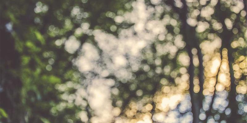 书画雅趣：竹雕臂搁、笔筒与墨床的文人意趣与古董收藏市场解析