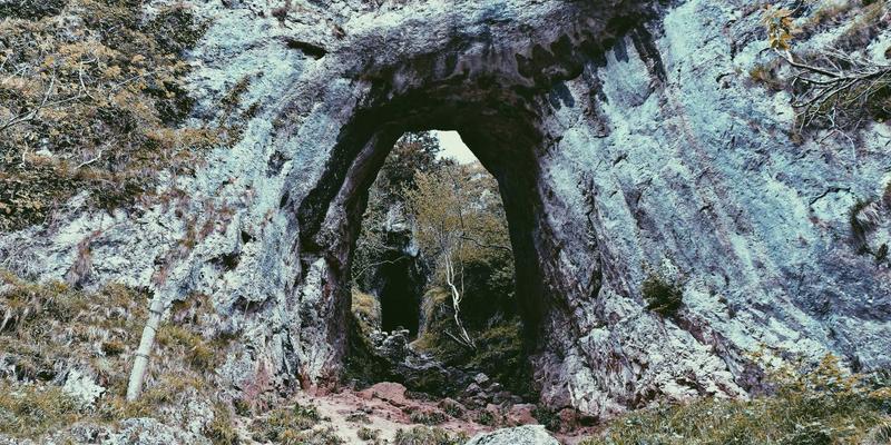 从克拉克瓷到纹章瓷：明清外销瓷的海外贸易与回流收藏市场解析
