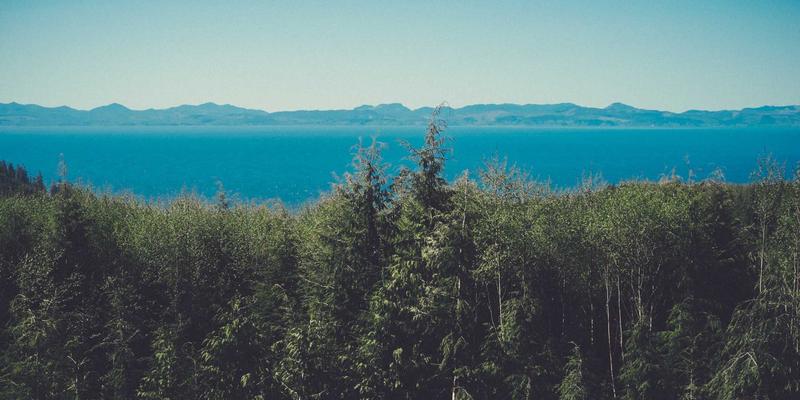 从北魏到明代：佛像艺术收藏市场的风格演变与鉴定要诀