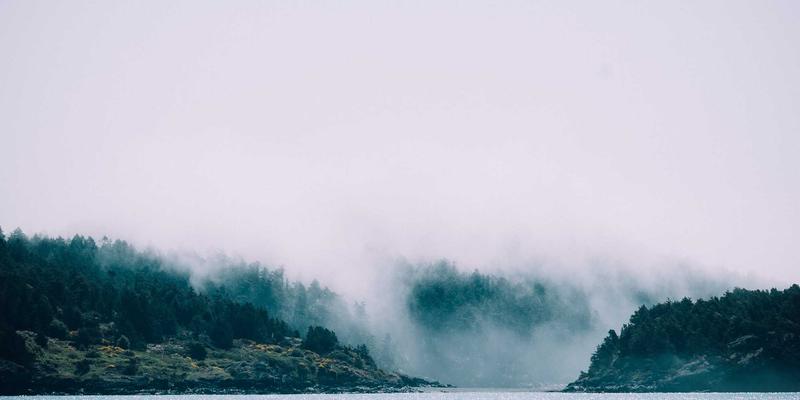 从战国古玺到清代帝后宝玺：探索中国古代玺印的材质、篆刻与收藏价值