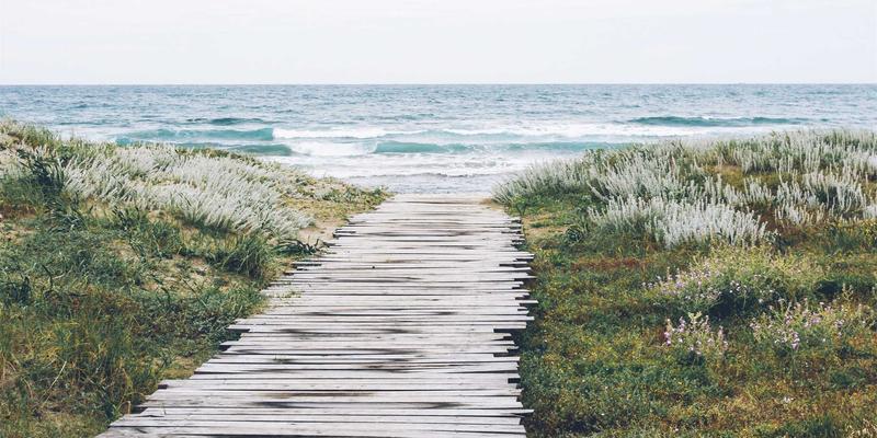 古玩鉴定指南：从战国漆镇墓兽到元代剔红，解码中国古玩漆器断代特征