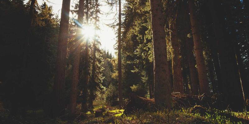 古玩鉴定新视野：从玉器瓷器到织绣收藏，缂丝与明清官服的市场潜力解析