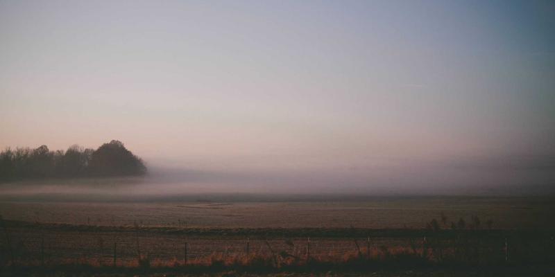 古籍善本收藏入门指南：版本鉴别、递藏源流与市场趋势解析