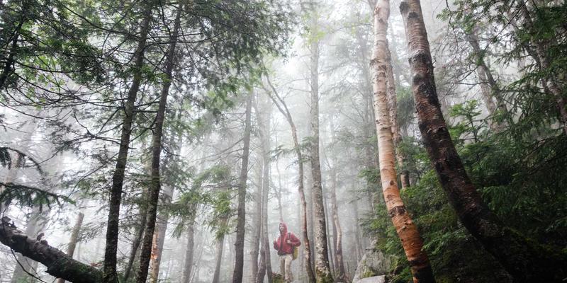 古董收藏与艺术品交易中的瑰宝：战国山字镜与唐代海兽葡萄镜的纹饰深度解读