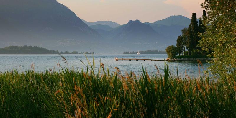 明清文房清供雅玩：笔筒、墨床、水丞的材质与文人审美探微