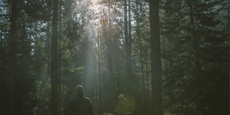 明清黄花梨家具：从流派鉴别到保养修复，兼谈与玉器书画瓷器的收藏共鸣