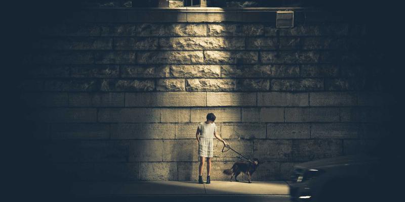 瓷器与玉器：中国古玩收藏市场的双璧辉光