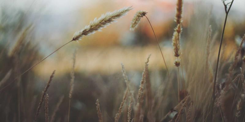 瓷器与玉器：中国古玩的双璧，穿越千年的东方雅韵